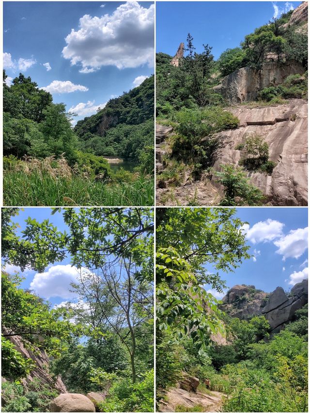 招虎山植物王國