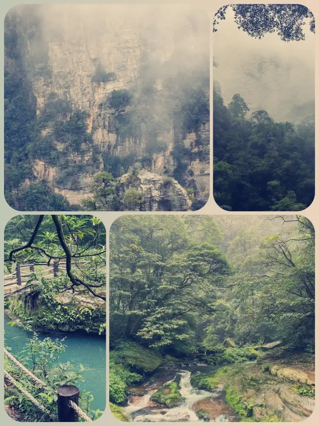 장가계 금편계 유람 공략