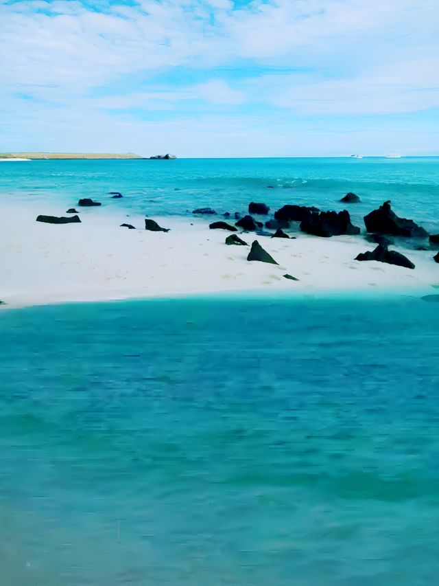 阿約拉港海龜灣海灘那麼美，你確定不去看看嗎？