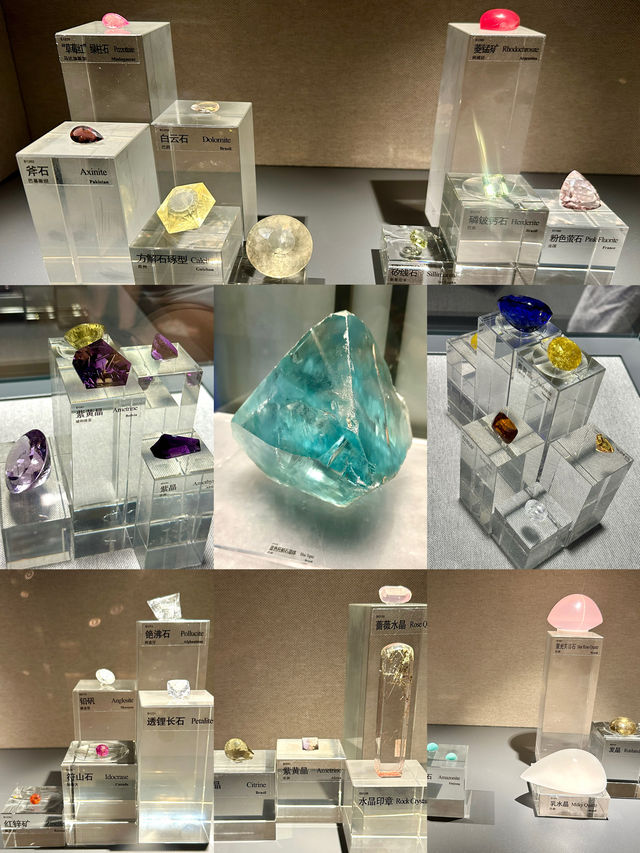 眼花繚亂，地質博物館長見識