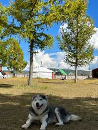 September Travel