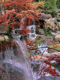 成都唯一想去無數次的公園……