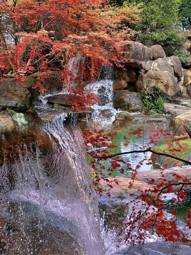 成都唯一想去無數次的公園……