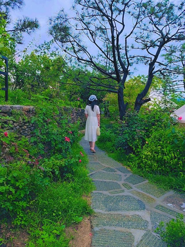 濟南露營｜愛麗絲的夢幻