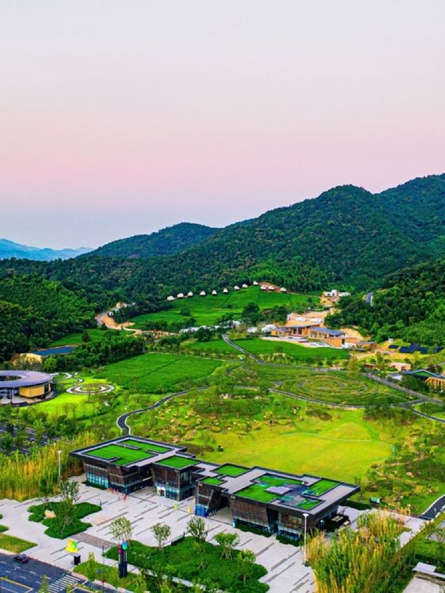 🌟 Huzhou's Hidden Gems: Nightlife & Culture 🏮🌉