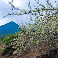 【8月好去處】游清遠水浪花谷，如入仙境