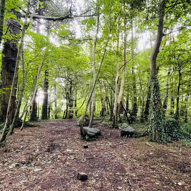 Belfast cool and breezy Cavehill