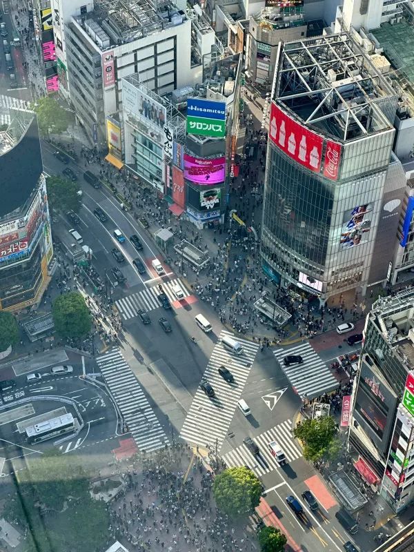 🇯🇵｜東京5日精華版攻略！附美食+路線🗼