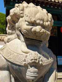 滄州河間府署旅遊攻略