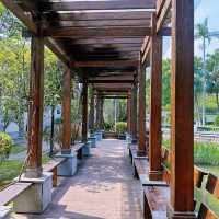 「中山公園」：免費入場，中式風格庭院，還有動物園和相親角
