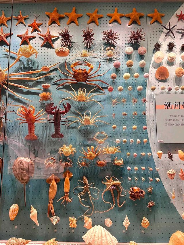 天津|國家海洋博物館～免費遛仔好去處。