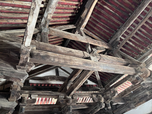 再遊崇明寺。