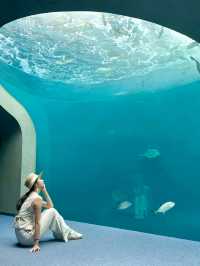 I liked Shikoku Aquarium so much❤️🥰
