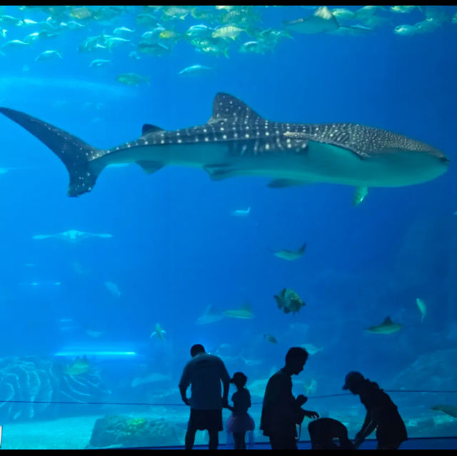 Aquarium in Zhuhai China