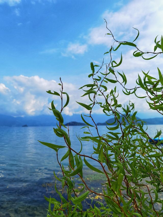 泸沽湖 | 行經婚姻大橋。