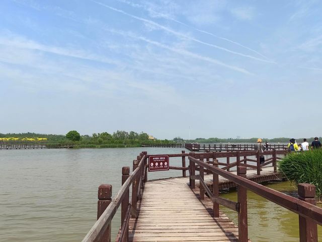 天津西青郊野公園 | 搭帳篷釣螃蟹。