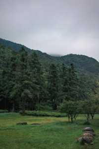 景點推薦打卡：姑婆山。
