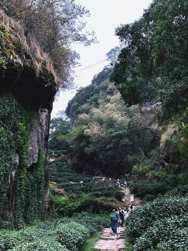 武夷山白雲禪寺日出攻略。