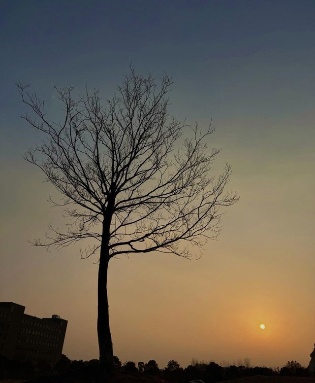探索小眾美景：從忐忑到驚喜的旅程。