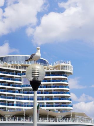 Fall in love with travel, fall in love with Kiel.