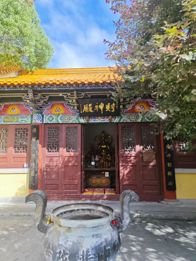 溫州洞頭 | 奔赴一場海邊的浪漫之旅。