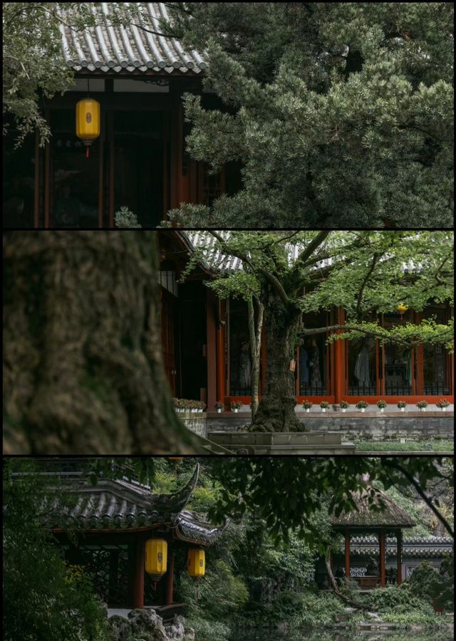 煙雨江南。