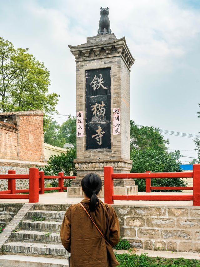 山西真的有為貓咪建造的廟宇——喵喵教總壇。