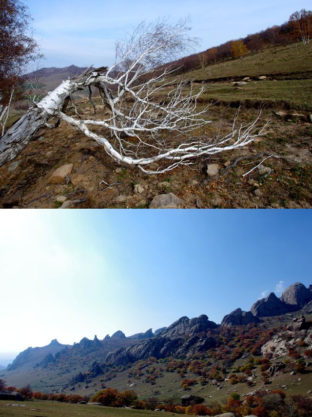 自駕克旗大青山徒步新路線|||如果自駕出行克旗大青山，肯定不能橫穿大青山路線。一般都是到腦場看看大裂。