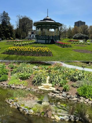 An oasis in the city of Halifax, UK.