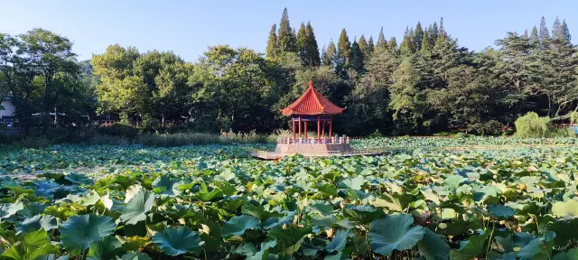 역사 깊은 칭다오 중산공원.