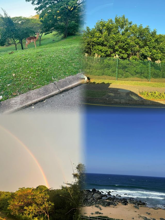 德班旅遊攻略  探索南非的夏威夷。