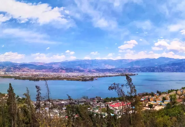 初冬·到邛海與候鳥共舞。