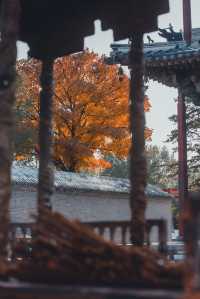 獨樂寺 | 無上國寶，獨一無二。