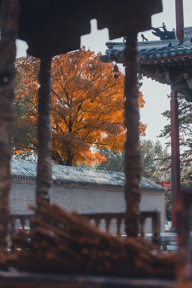 獨樂寺 | 無上國寶，獨一無二。