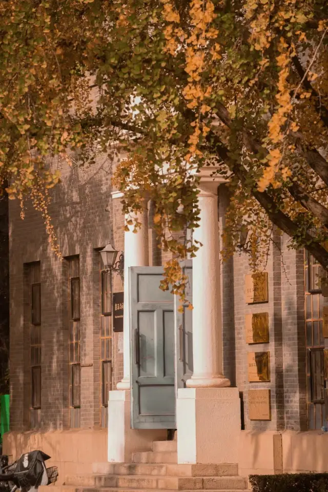 北京必去的暮秋賞葉佳地。