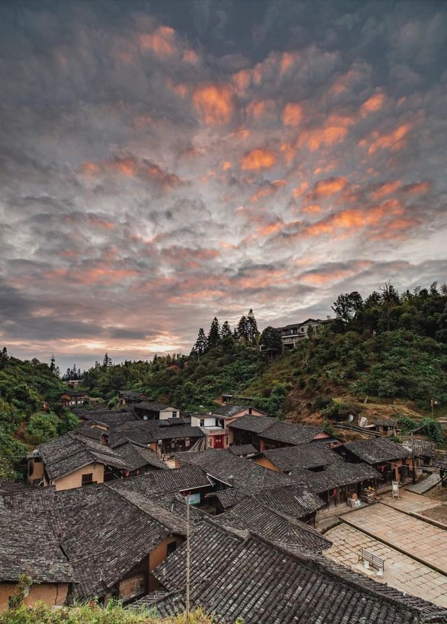 陸之古樸的村落丁屋嶺探尋「無蚊村」之美。
