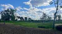 遊上海：濱江森林公園二期。