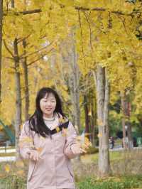四川綿陽｜富樂山公園，不要低估這座小城的美