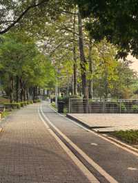 陳村新開發的公園！露營釣魚放風箏踩單車一園俱全