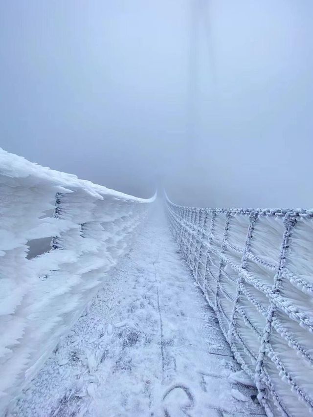 廣東周邊也能欣賞的雪景聖地
