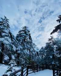 到看雪山的季節啦！！！