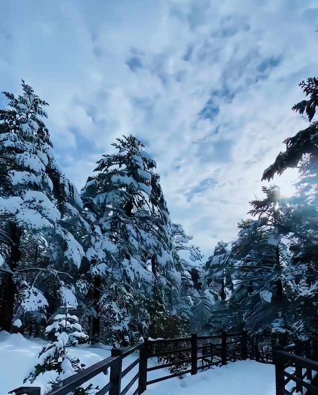 到看雪山的季節啦！！！