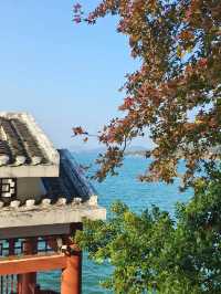 萬綠湖|廣東的「千島湖」你不要太美！！