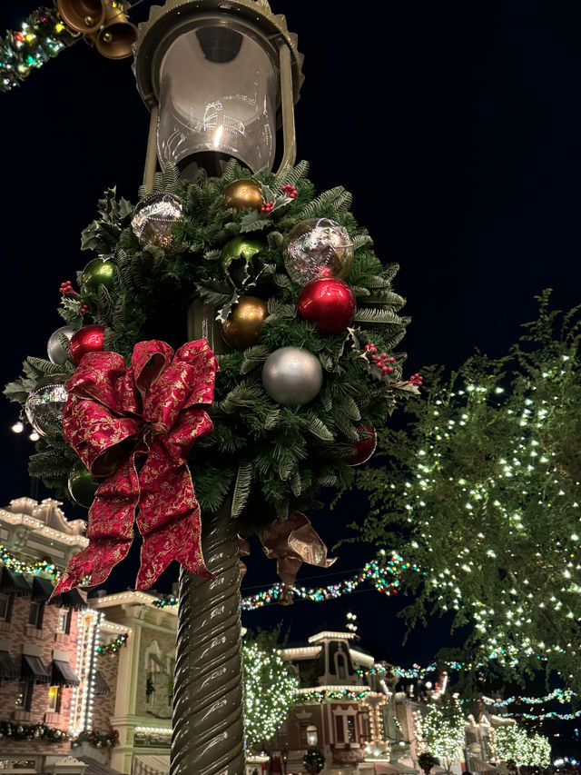 Disneyland🎄