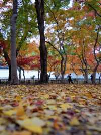 美翻了！你永遠可以相信婚紗照的取景水平！