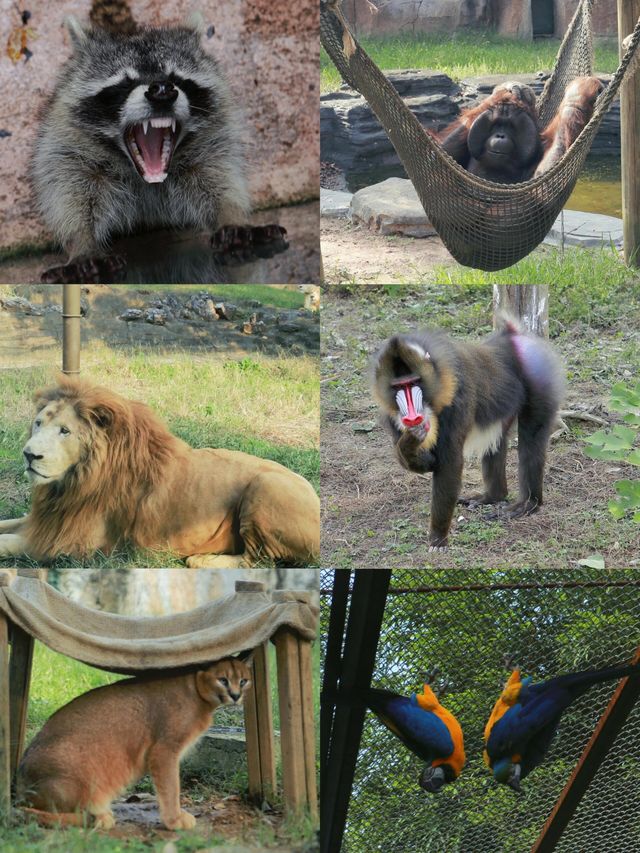 杭州野生動物園