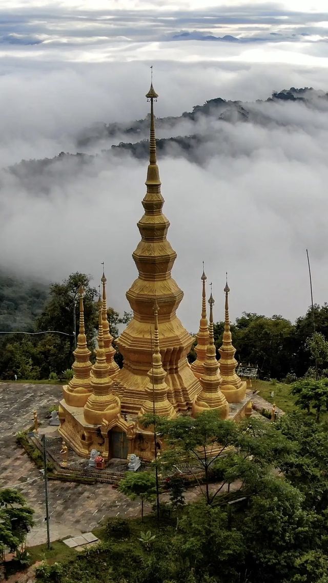 景邁山人少又安逸