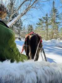 長春-延邊滑雪看這篇就夠速速碼住