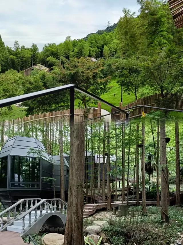 A dream house at the foot of Dongming Mountain, Senyu B&B, sleep in the forest