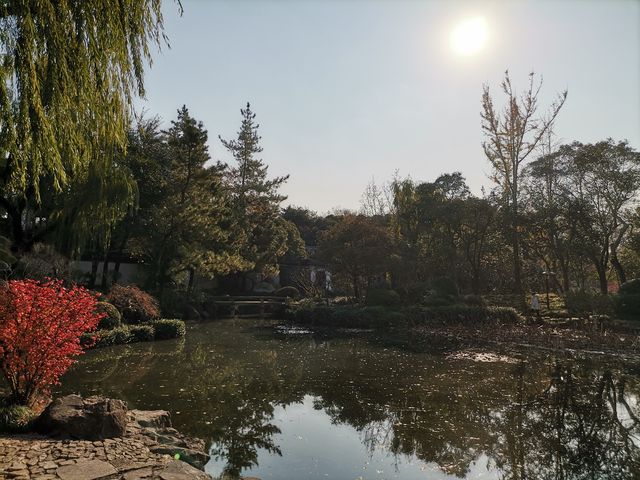 嘉定秋霞圃賞紅葉